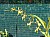 284 a Brassia Giroudiana x Onc Spacelatum_1.jpg